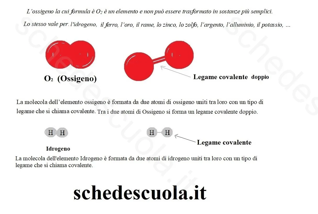 Elementi e composti
