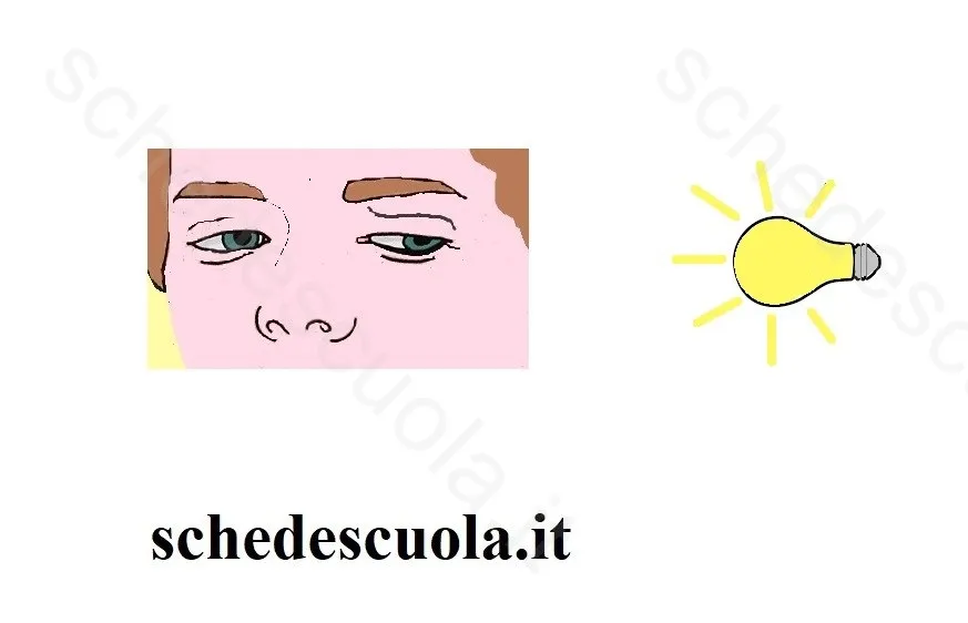 Luce