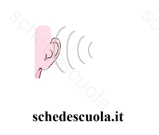 Suono