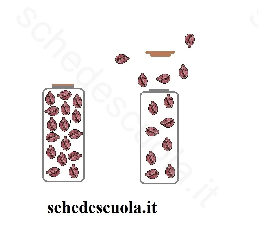 Temperatura e pressione