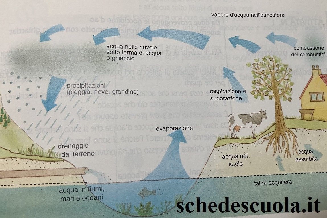 Idrosfera