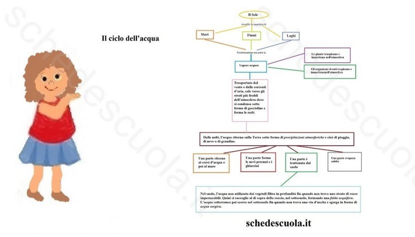 Ciclo dell acqua