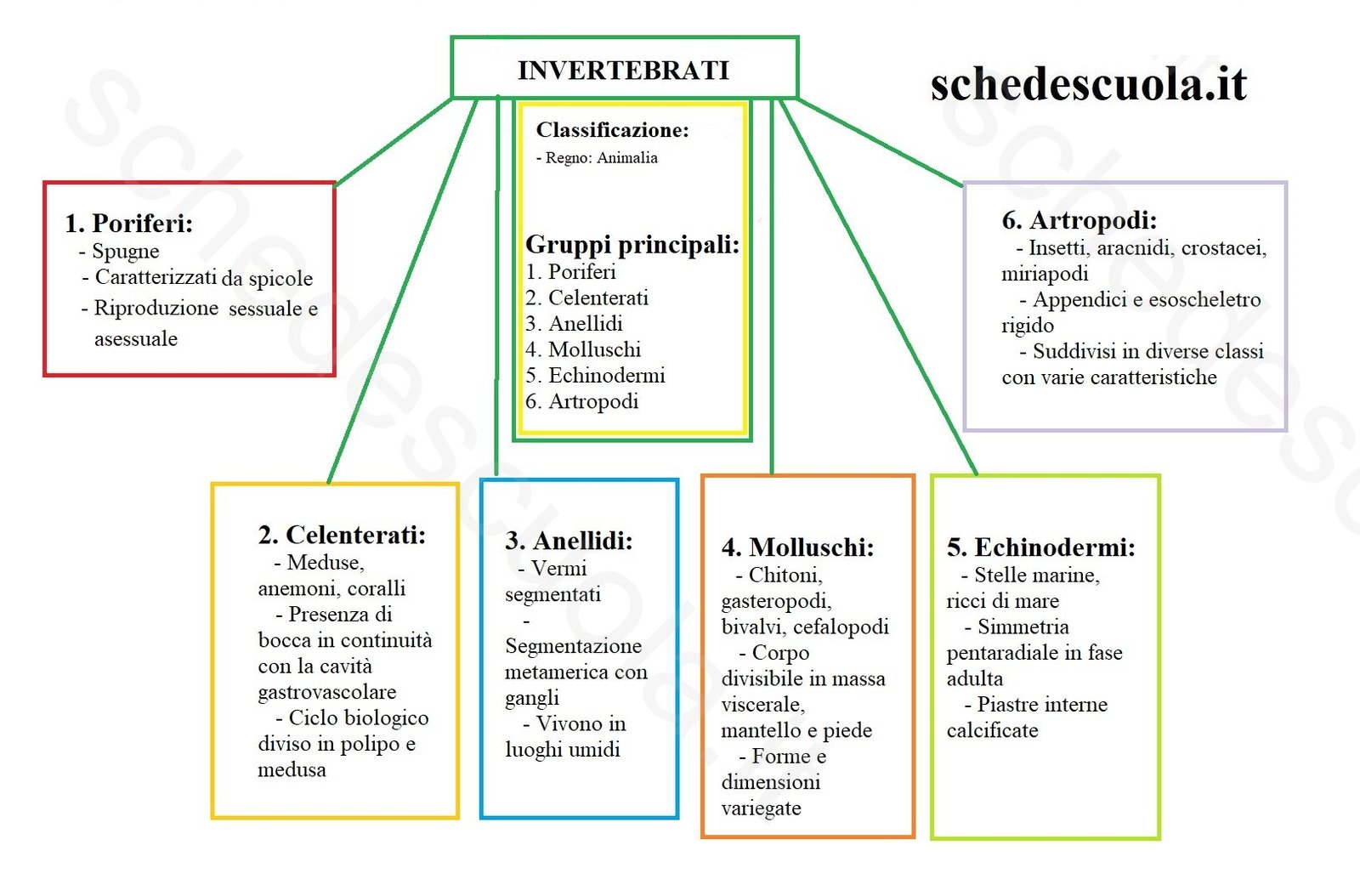 Invertebrati