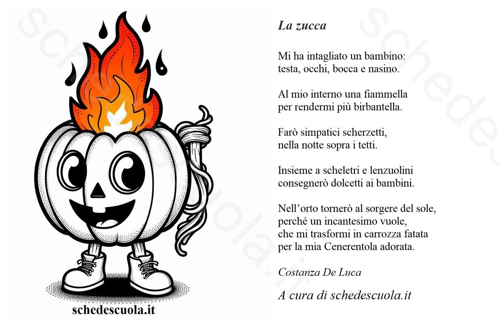 La zucca