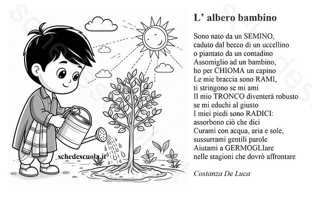 L'Albero bambino