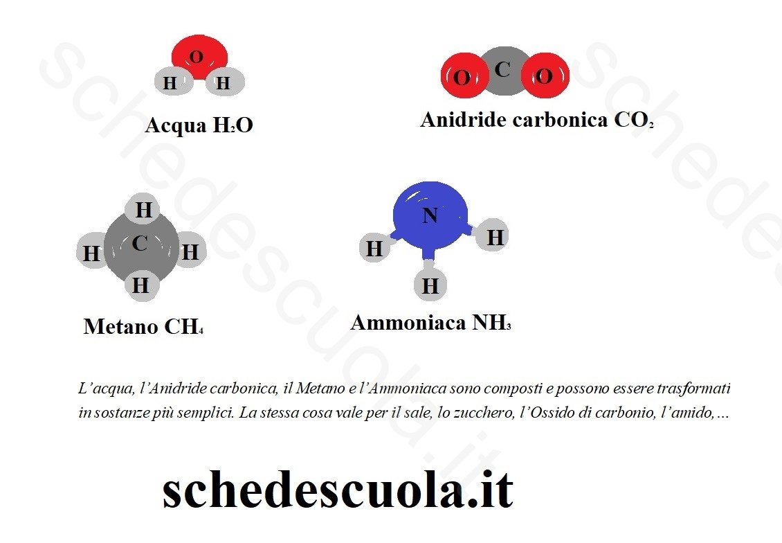 Molecole