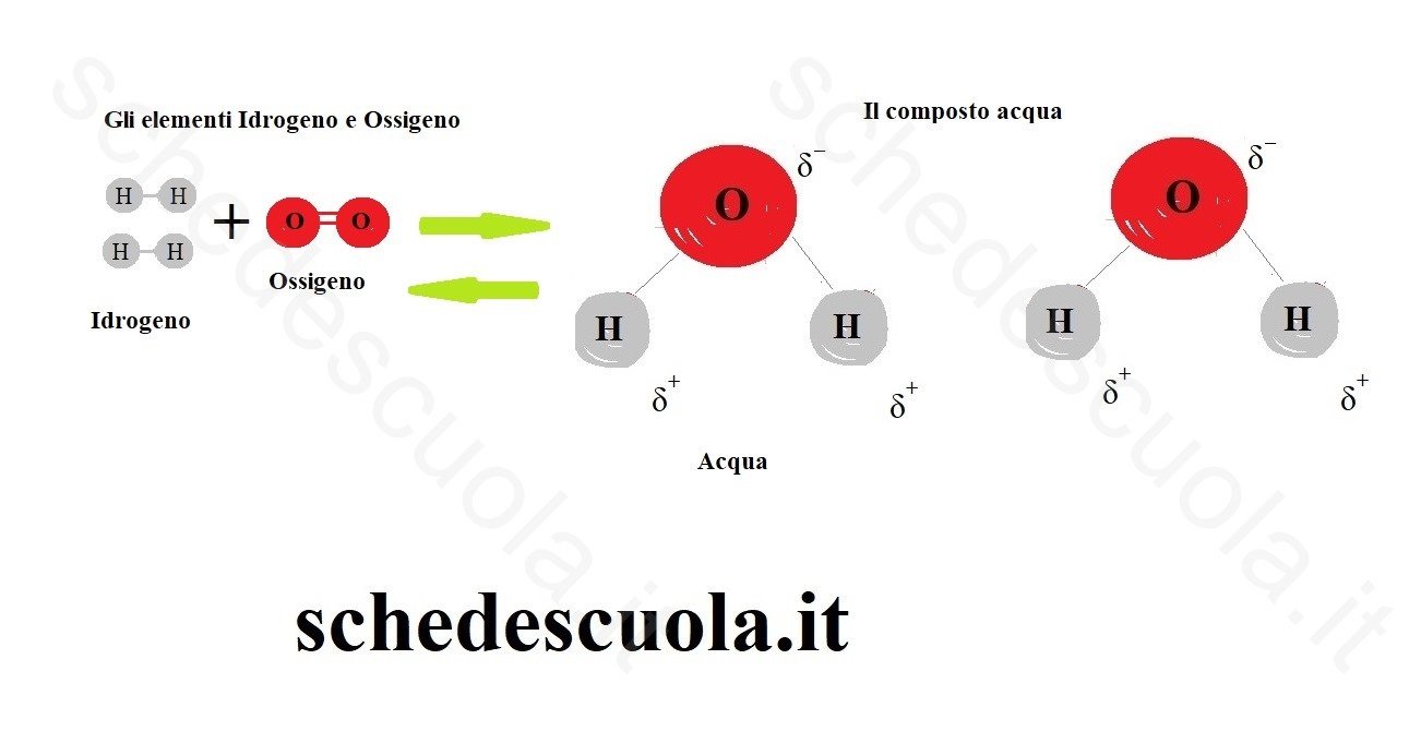 Molecole