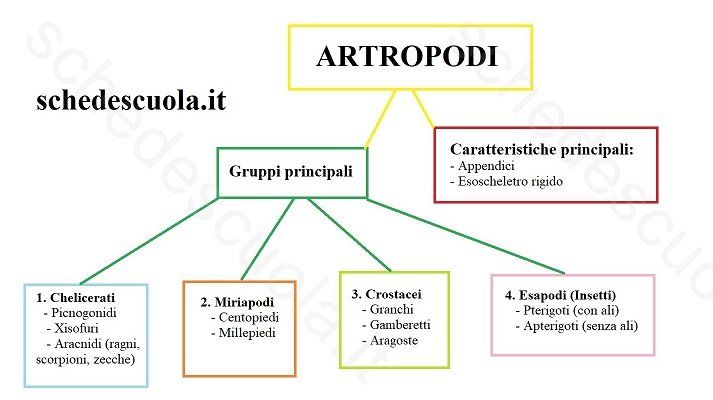 Artropodi