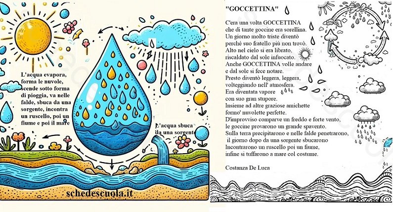 Goccettina