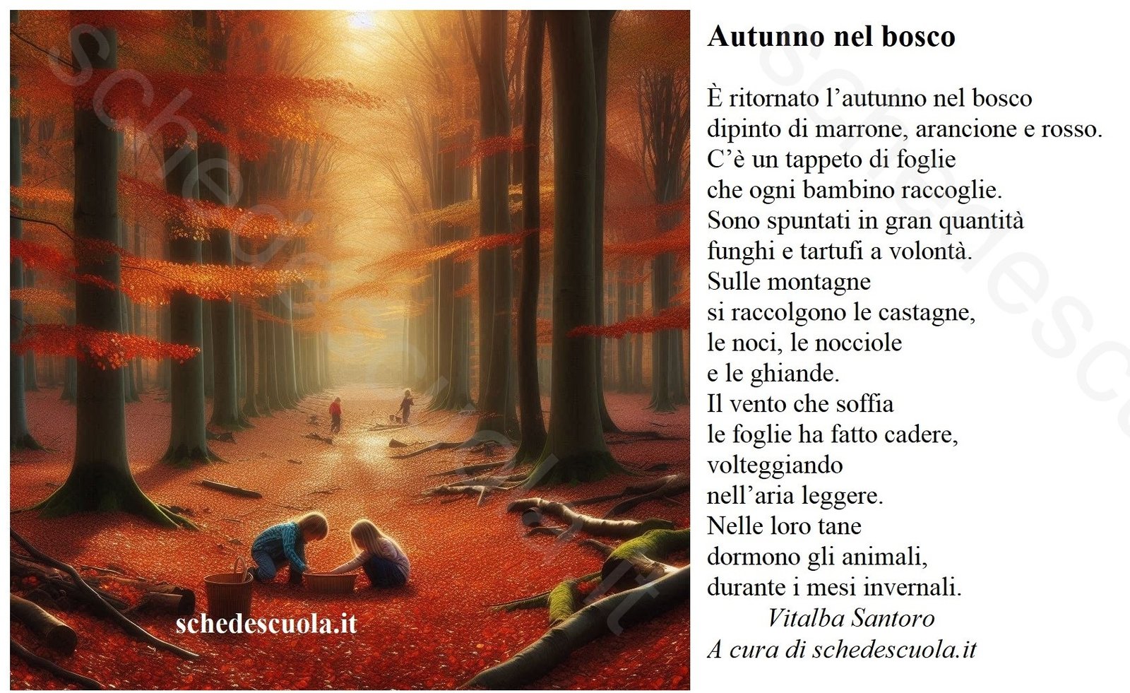 Autunno nel bosco