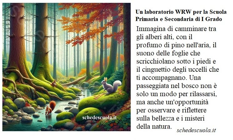 Una passeggiata nel bosco