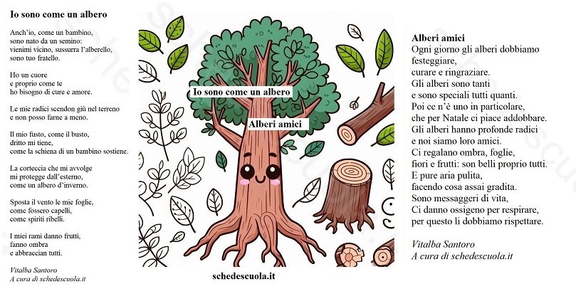 Alberi di Vitalba