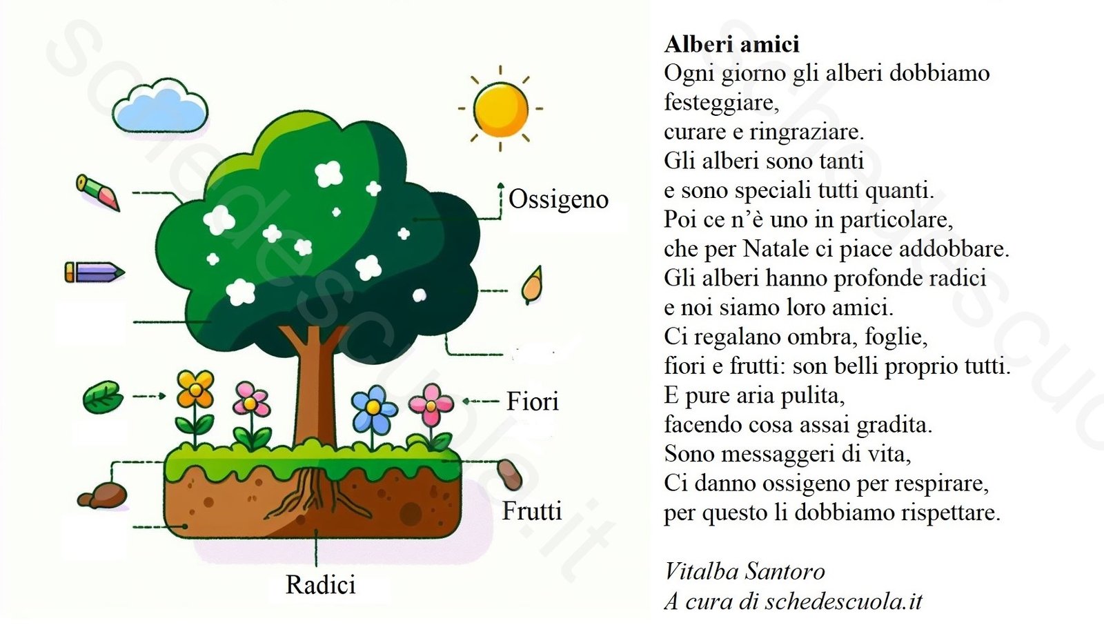 Alberi amici