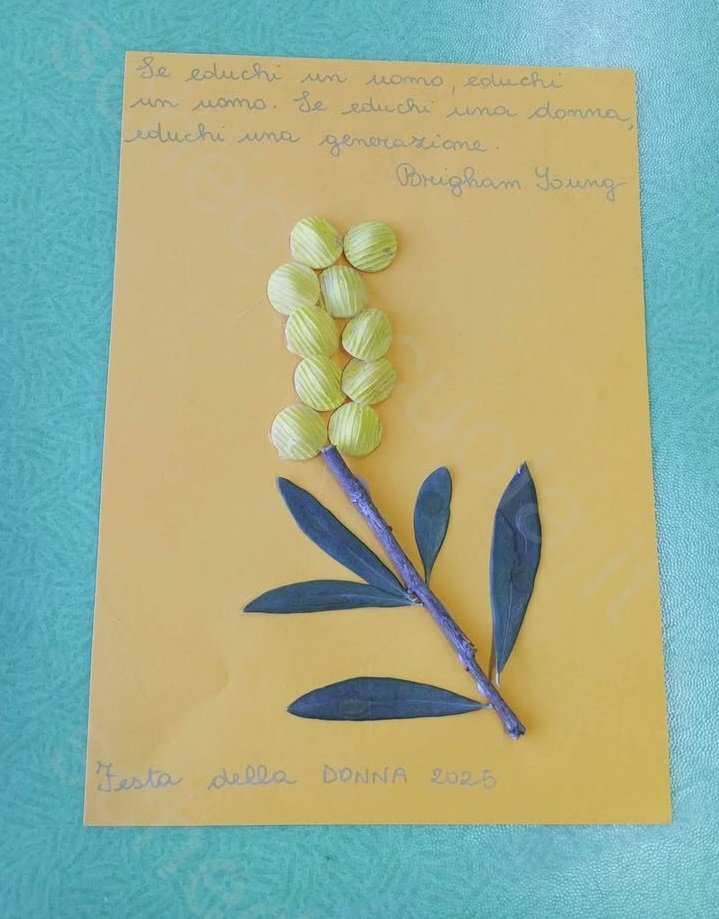 La Mimosa più bella
