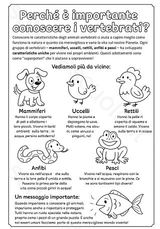 Animali Vertebrati