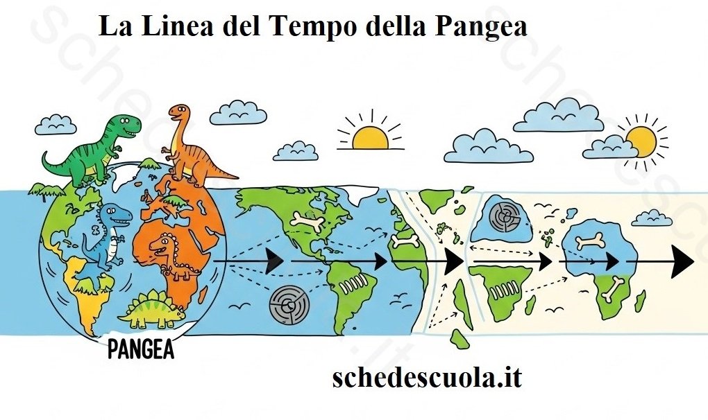 La Linea del tempo della Pangea