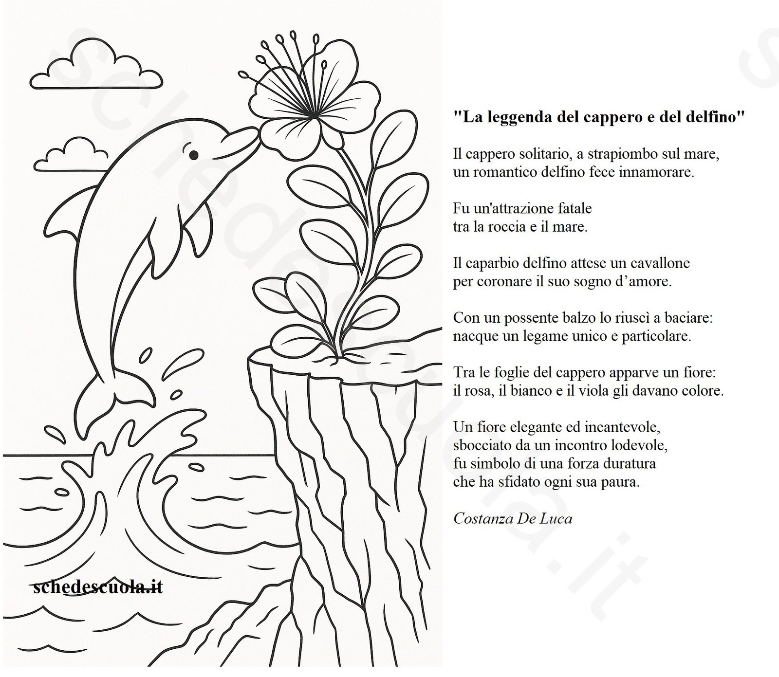 La leggenda del cappero e del delfino