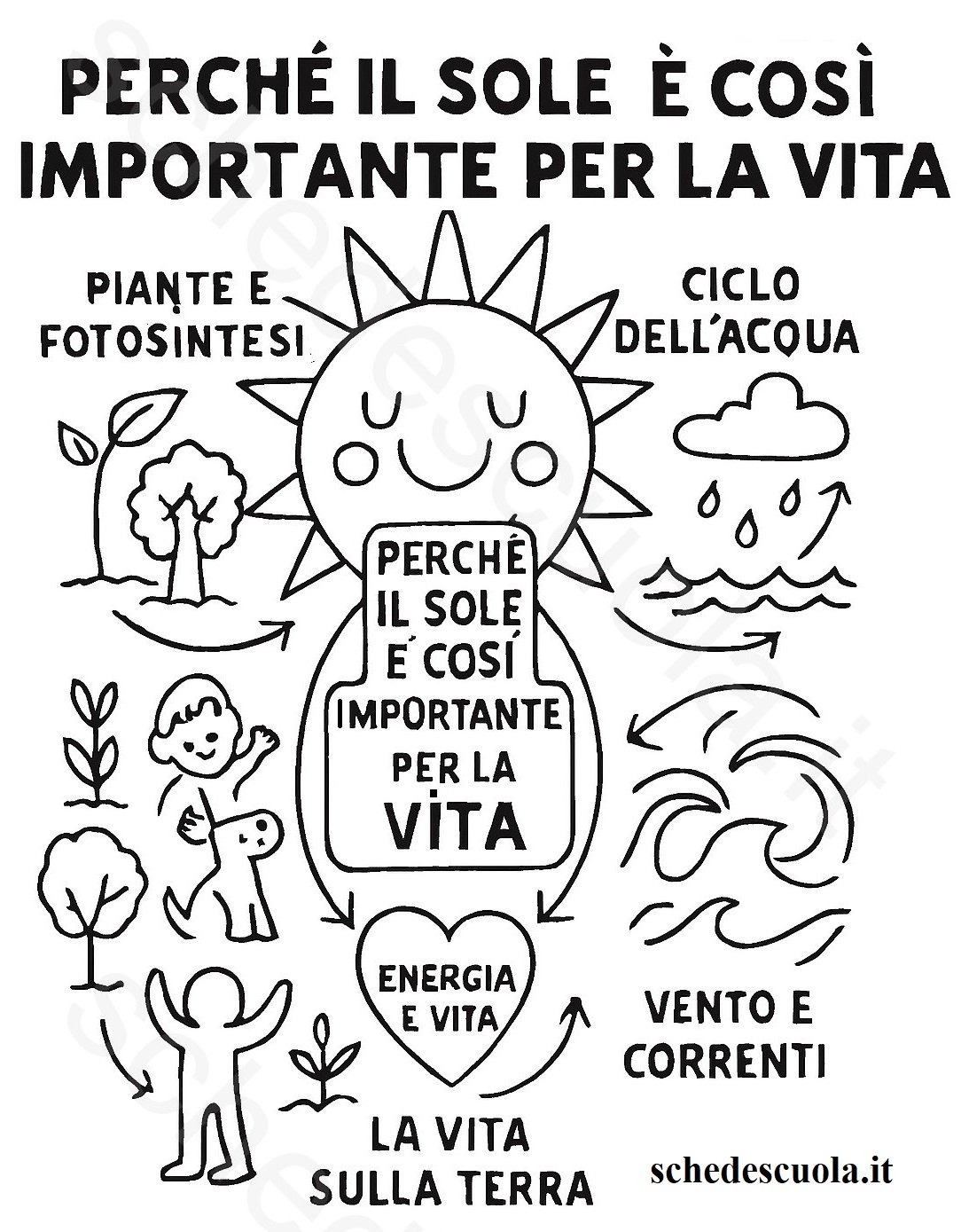 Il Sole è importante per la Vita