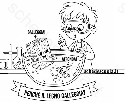 Perchè il legno galleggia