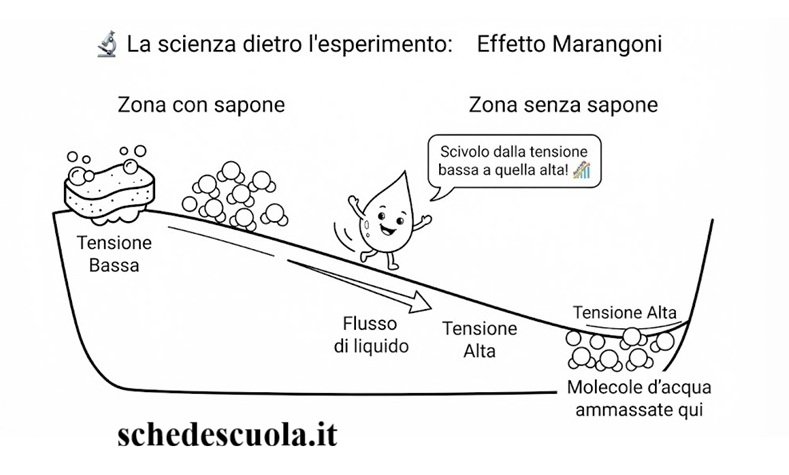 Effetto Marangoni
