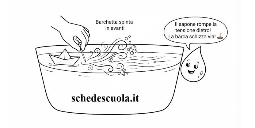 La barca a sapone